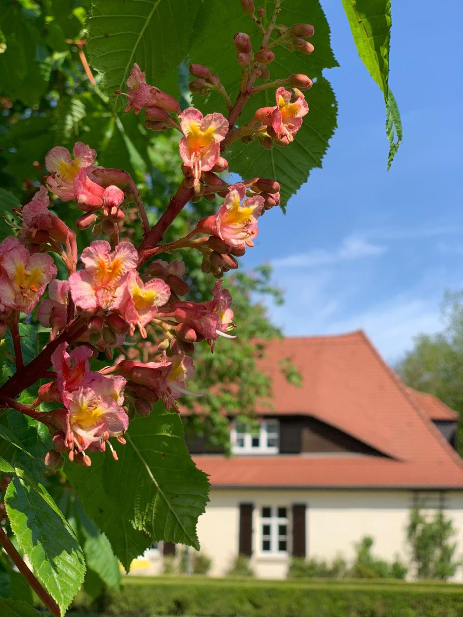 Landhaus Saaleck Naumburg  Luaran gambar